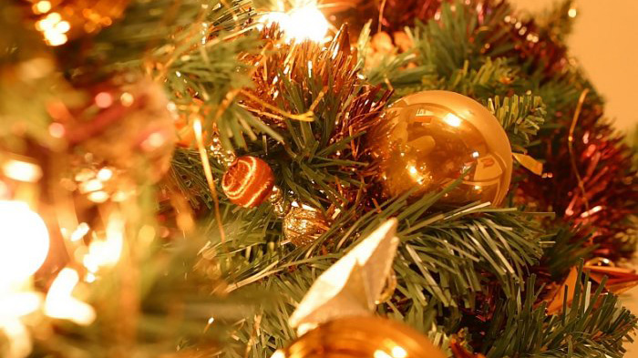 Уникальное новогоднее предложение!