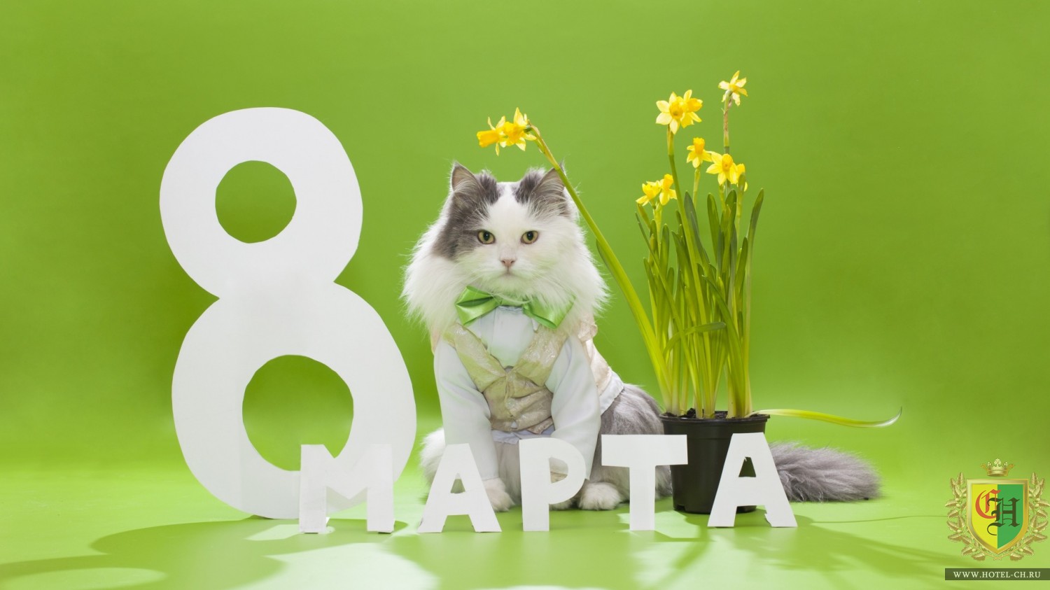 8 марта в